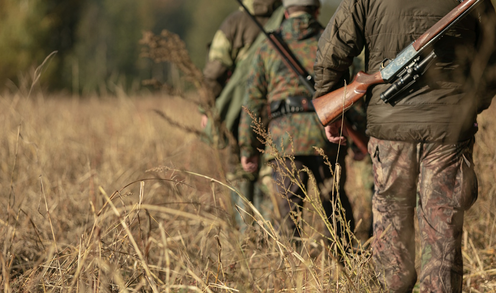 group bird hunting