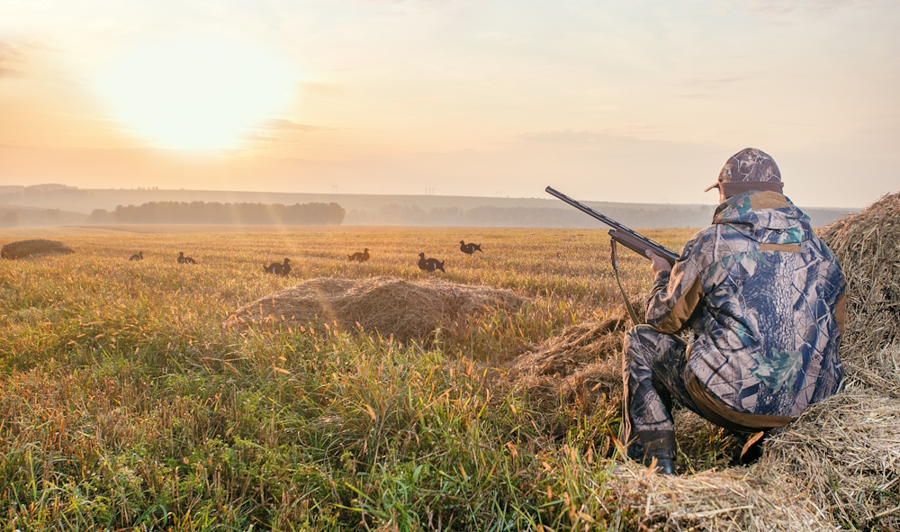 camo clothed man bird hunting