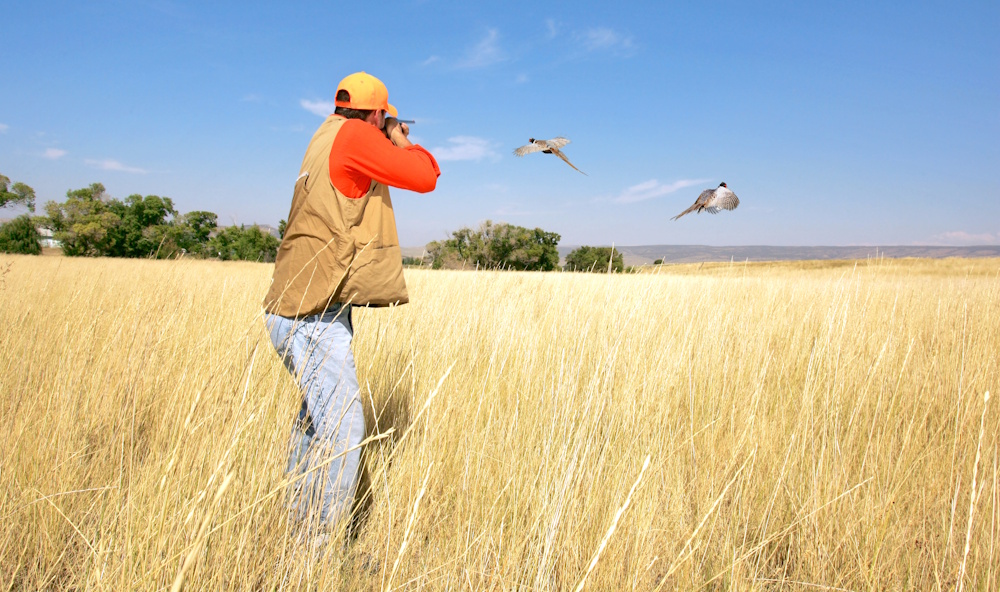 hunter aiming gun at bird