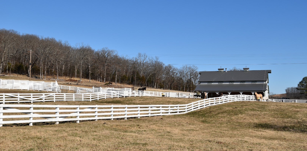 dude ranch with horses in pasture