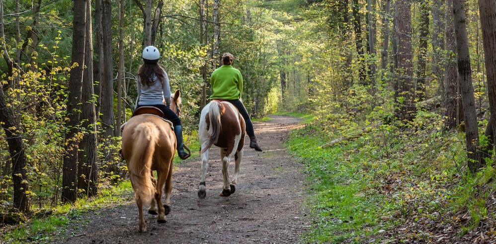 Horseback riding on trail