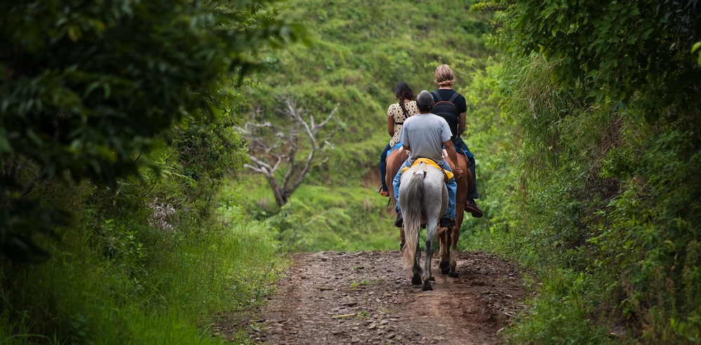 Horseback riding on trail