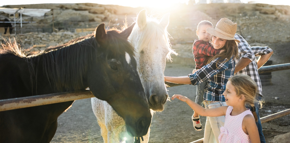 family petting horses at ranch